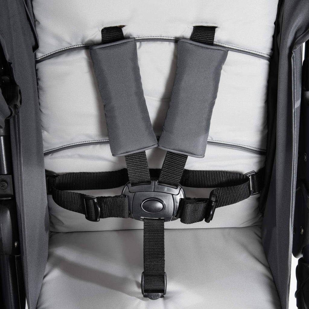 hauck Geschwisterwagen Roadster Duo SLX, Zwillingsbuggy ab Geburt bis 15 kg (ca. 3 Jahren) mit Liegefunktion, XL Korb, Einfach und Klein Zusammenklappbar, Große Räder (Grey/Silver)